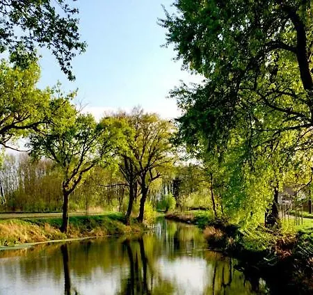 Flora بيت ضيافة